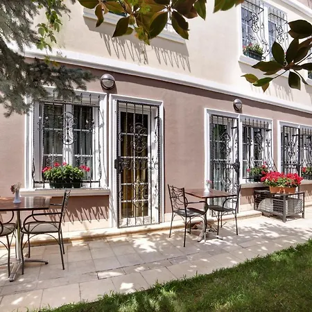 Almina - Special Class 3* Provincia di Istanbul