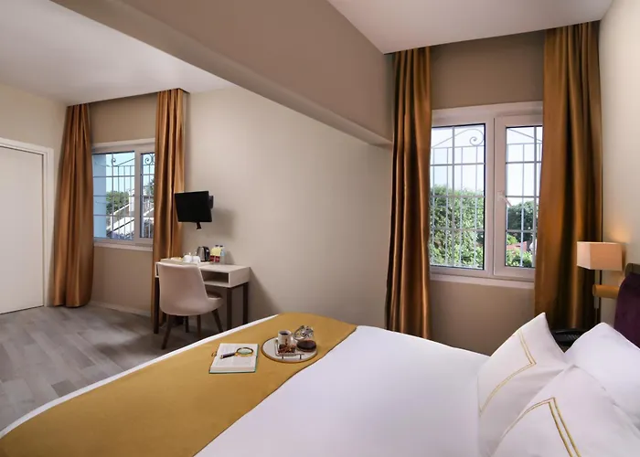 Almina - Special Class Provincia di Istanbul