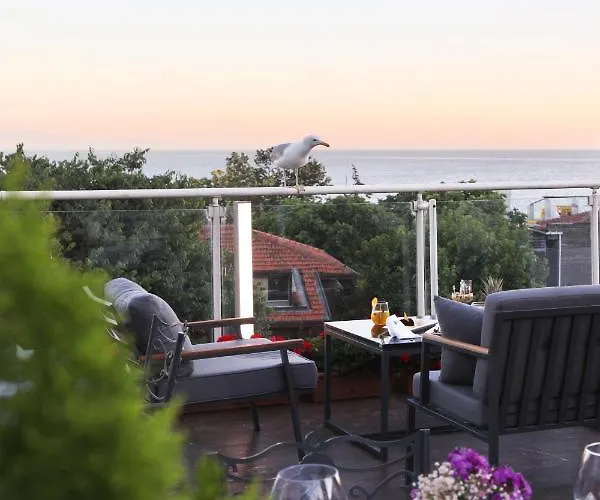 Almina - Special Class 3* Istanbulská provincie