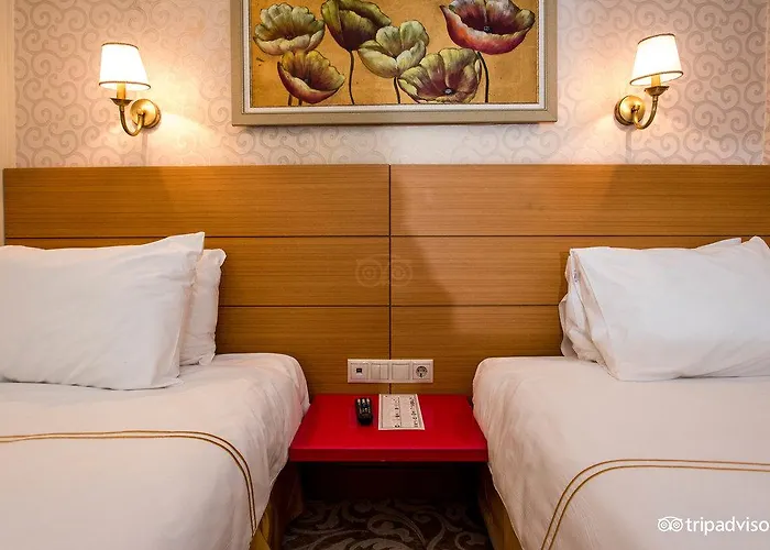 Almina - Special Class 3* Istanbulská provincie