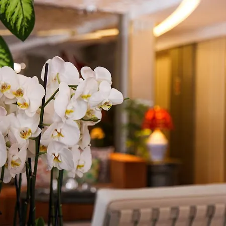 Almina - Special Class Hotell