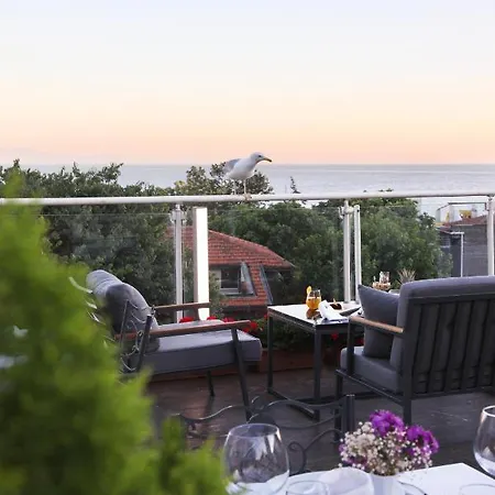 Almina - Special Class 3* Стамбул