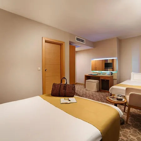 Almina - Special Class Hotel Istanbul