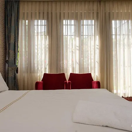 Отель Almina - Special Class 3*